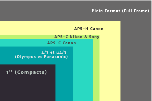 Schéma représentant les différents capteurs photographiques par rapport au micro 4/3